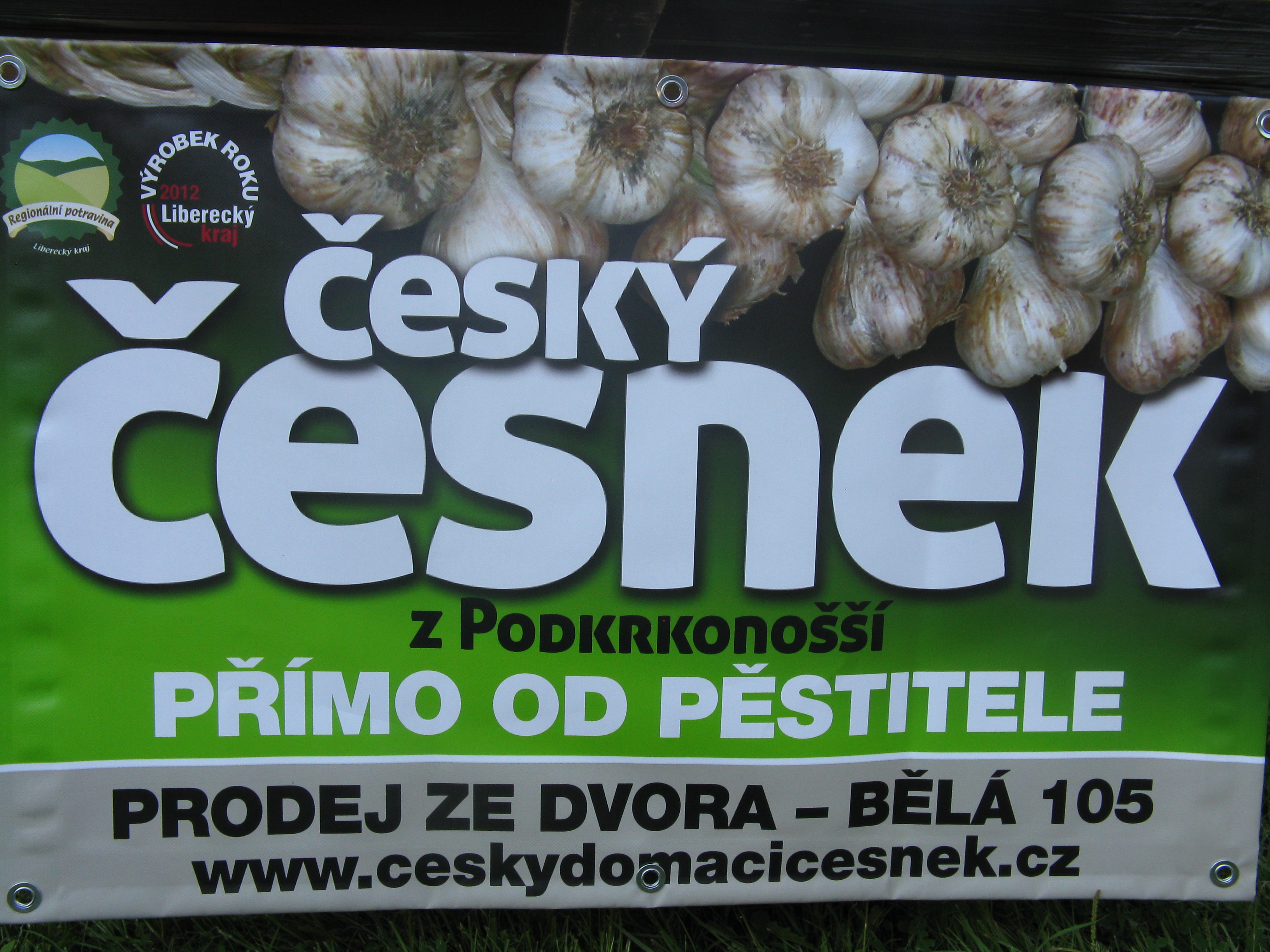 Český česnek z Podkrkonoší